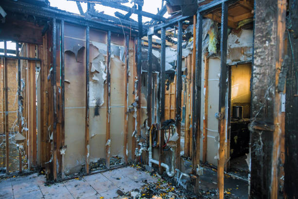 Professional Structural Rebuild technician working in Victoria, TX